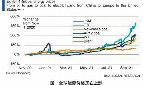 全球能源价格波动对经济的影响(全球能源价格暴涨)